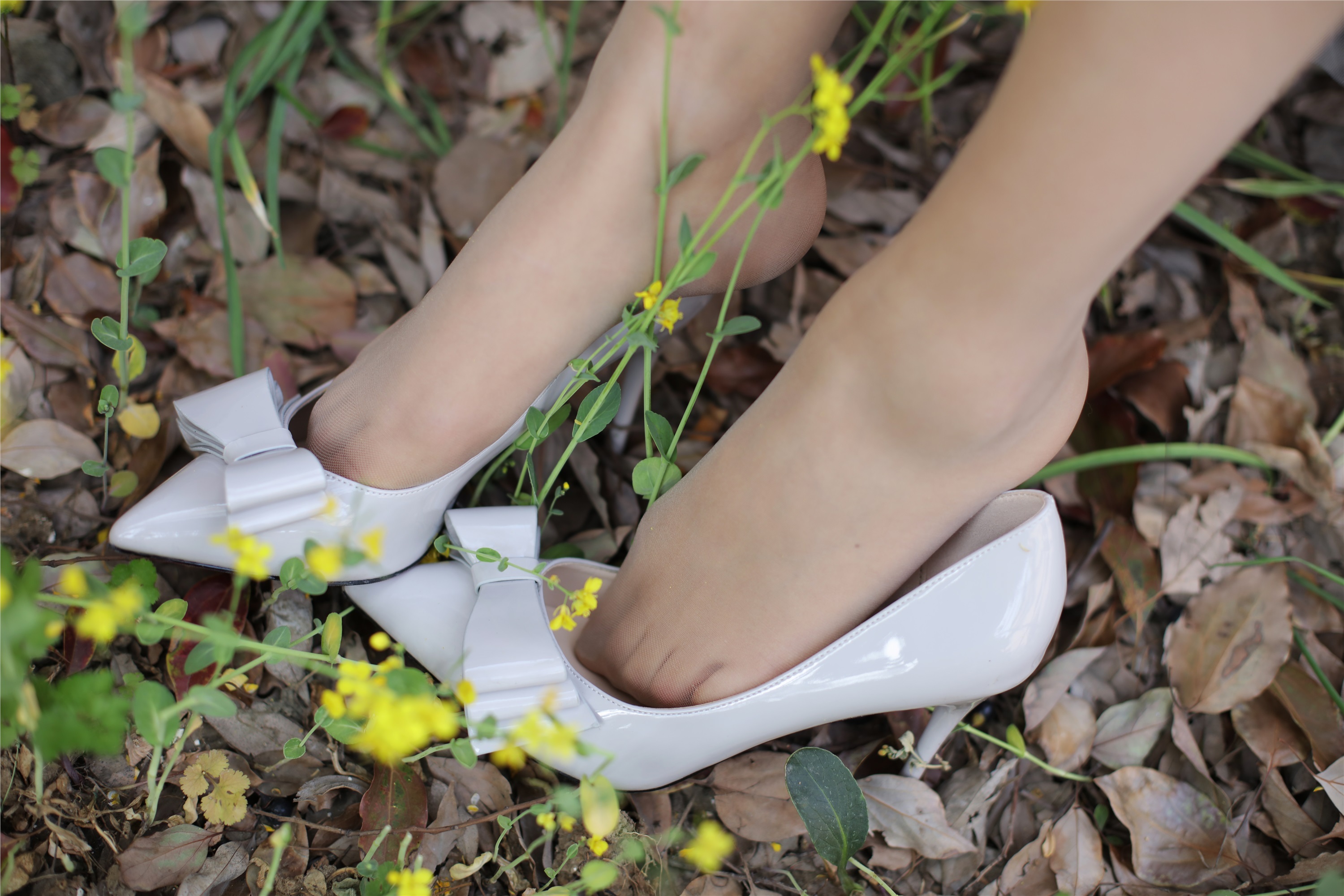 奈丝写真 NO.056 高高-故事的小黄花